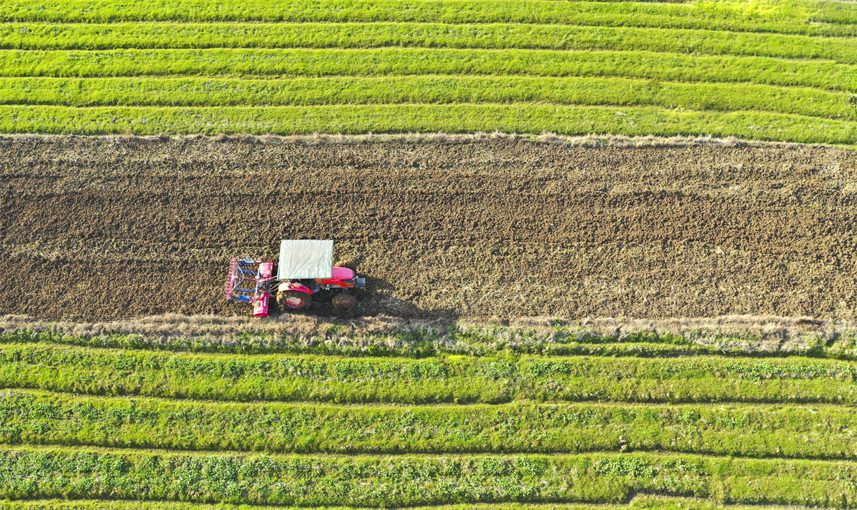 တရုတ်နိုင်ငံတစ်ဝှမ်းလုံးရှိ လယ်သမားများသည် စိုက်ပျိုးရေးလုပ်ငန်းတွင် တက်ကြွစွာပါဝင်လုပ်ကိုင်နေကြ