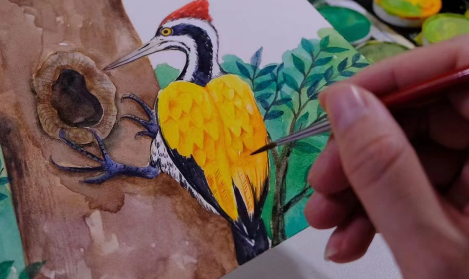 Illustrator Yang Siqing: Drawing hornbills out of love