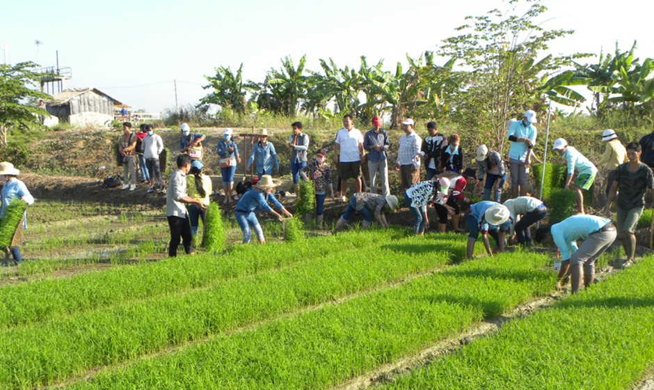 Chea Munyrith: RCEP drives Cambodian economy   