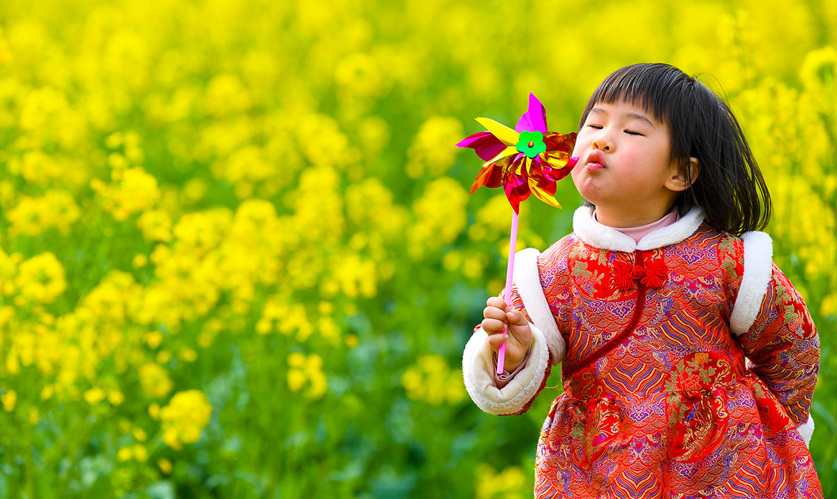 踏青赏花 乐享春光