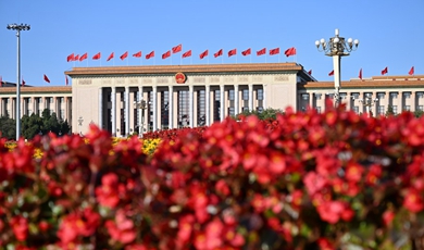 China's two sessions: expectations and future aspirations