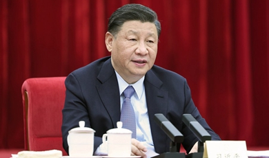 Xi calls for guiding healthy, high-quality development of private sector