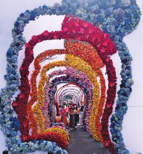 8万余朵鲜切花打造而成的24道花门亮相斗南 