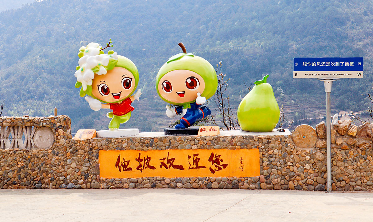 文山市他披村：梨花绽放满园春