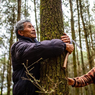 Special Yunnan lifestyle: Senior couple spend 24 years watching forest