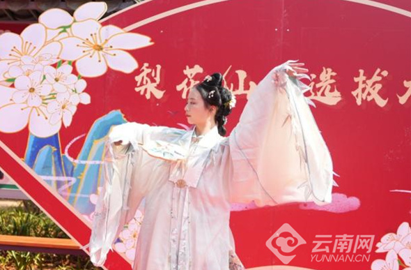 中国·呈贡第十一届“万溪梨花节”正式启幕