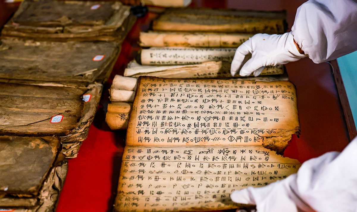 守护人类象形文字的“活化石”