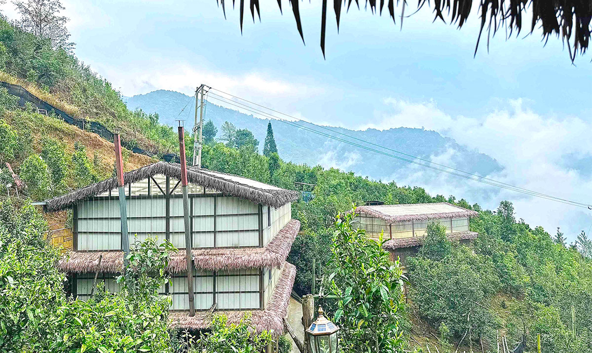 有一种叫云南的生活 | 临沧南美石斧山  茶旅飘香引客来