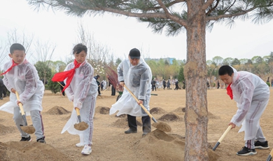 Xi calls for afforestation efforts during tree planting activity