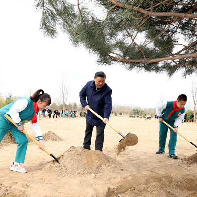 Tổng Bí thư Trung Quốc Tập Cận Bình tham gia trồng cây công ích Thủ đô