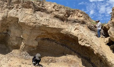 တရုတ်နိုင်ငံ အနောက်မြောက်ပိုင်း၌ Jurassic ခေတ်လယ်ပိုင်းက အပင်ကျောက်ဖြစ်ရုပ်ကြွင်း ကို ရှာဖွေတွေ့ရှိ