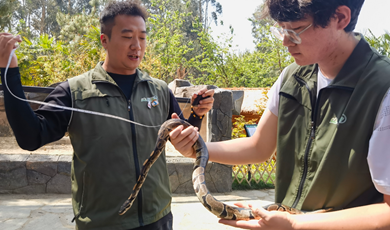 Pet snakes find shelter at Yunnan wildlife park 