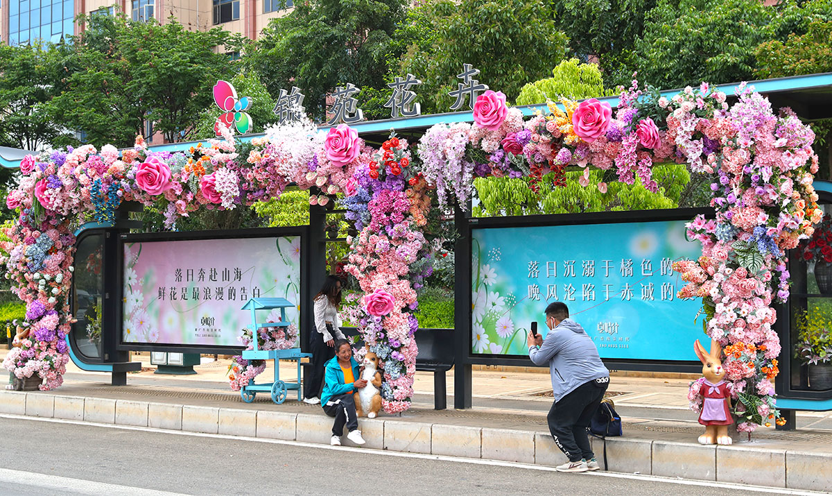 昆明斗南鲜花公交站：在昆明等公交都是浪漫的样子