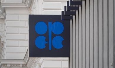 OPEC+ adjusts output targets for 2024