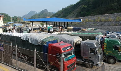 Yunnan sees thriving cross-border trade with Vietnam 