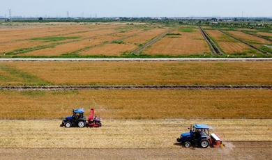 China takes multi-pronged measures to ensure summer harvest