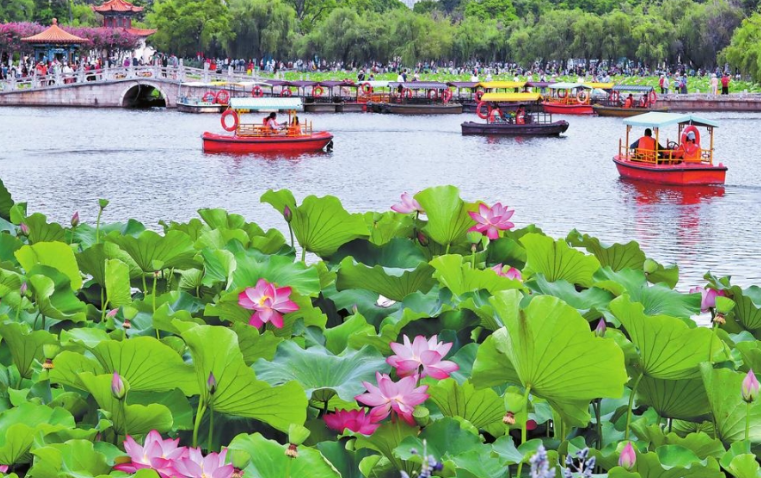 云南5地上榜避暑旅游优选地