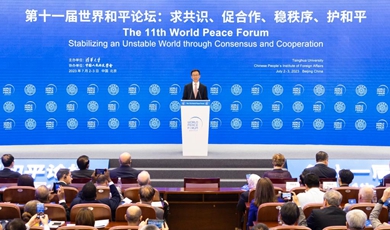 Chinese vice president addresses World Peace Forum