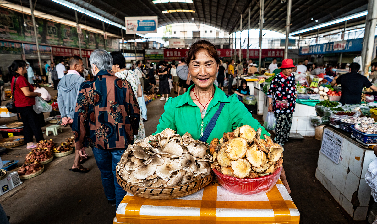 Nấm hoang dã Vân Nam được đưa ra thị trường với số lượng lớn