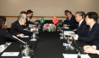 China ready to synergize development strategy with Brazil: Wang Yi