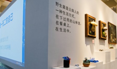 พิพิธภัณฑ์เห็ดป่าในโรงเรียนประถมยูนนาน