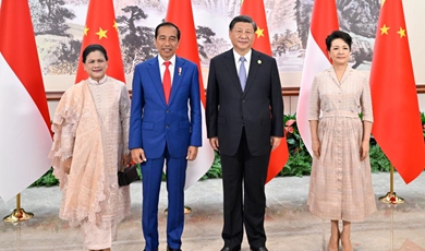 Xi meets Indonesian president