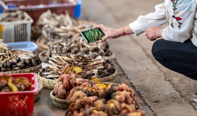 Wet markets make new destinations in Yunnan