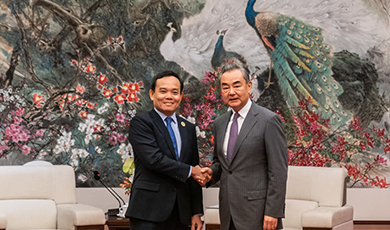 Ủy viên Bộ Chính trị Trung Quốc Vương Nghị hội kiến Phó Thủ Tướng Việt Nam Trần Lưu Quang