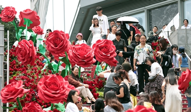 Yunnan flower sales soar by 42% amid Qixi festivities 