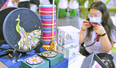 ខេត្តយូណានរៀបចំក្រុមដើម្បីចូលរួមពិព័រណ៍ពាណិជ្ជកម្មសេវាកម្មចិនអន្តរជាតិឆ្នាំ២០២៣