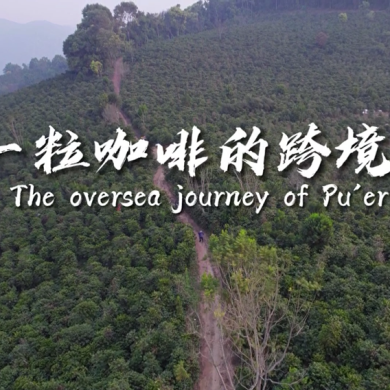 Overseas journey of Pu'er coffee