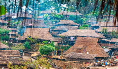 Special Yunnan Lifestyle | တရုတ်-မြန်မာနယ်စပ်ရှိ အုန်းတင်ကျေးရွာကို တွေ့ဆုံ