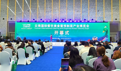 Pre-made dishes expo kicks off in Kunming