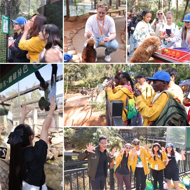 Chinese Bridge contestants visit wildlife park, old towns in Kunming
