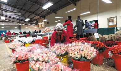 Nation offers blooming prospects for Kenyan flowers
