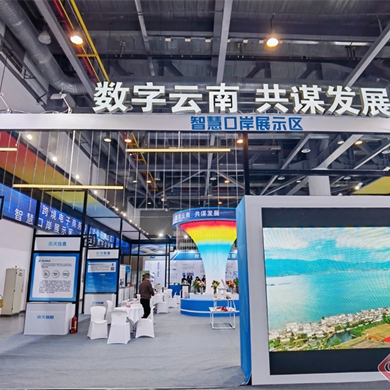11 Yunnan businesses attend Global Digital Trade Expo 