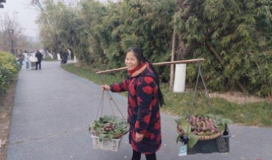 คุณป้าเฉิงตูพูดภาษาอังกฤษขายผลไม้ ได้รับความสนใจจากชาวเน็ตจีน