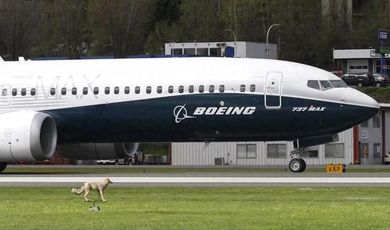 ការស៊ើបអង្កេតពីឧប្បត្តិហេតុយន្តហោះរបស់ក្រុមហ៊ុន Boeing រកឃើញយន្តហោះប្រភេទដូចគ្នារលុងក្បាលប៊ូឡុង