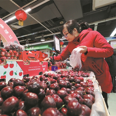 Chile sees increase in cherry exports to China