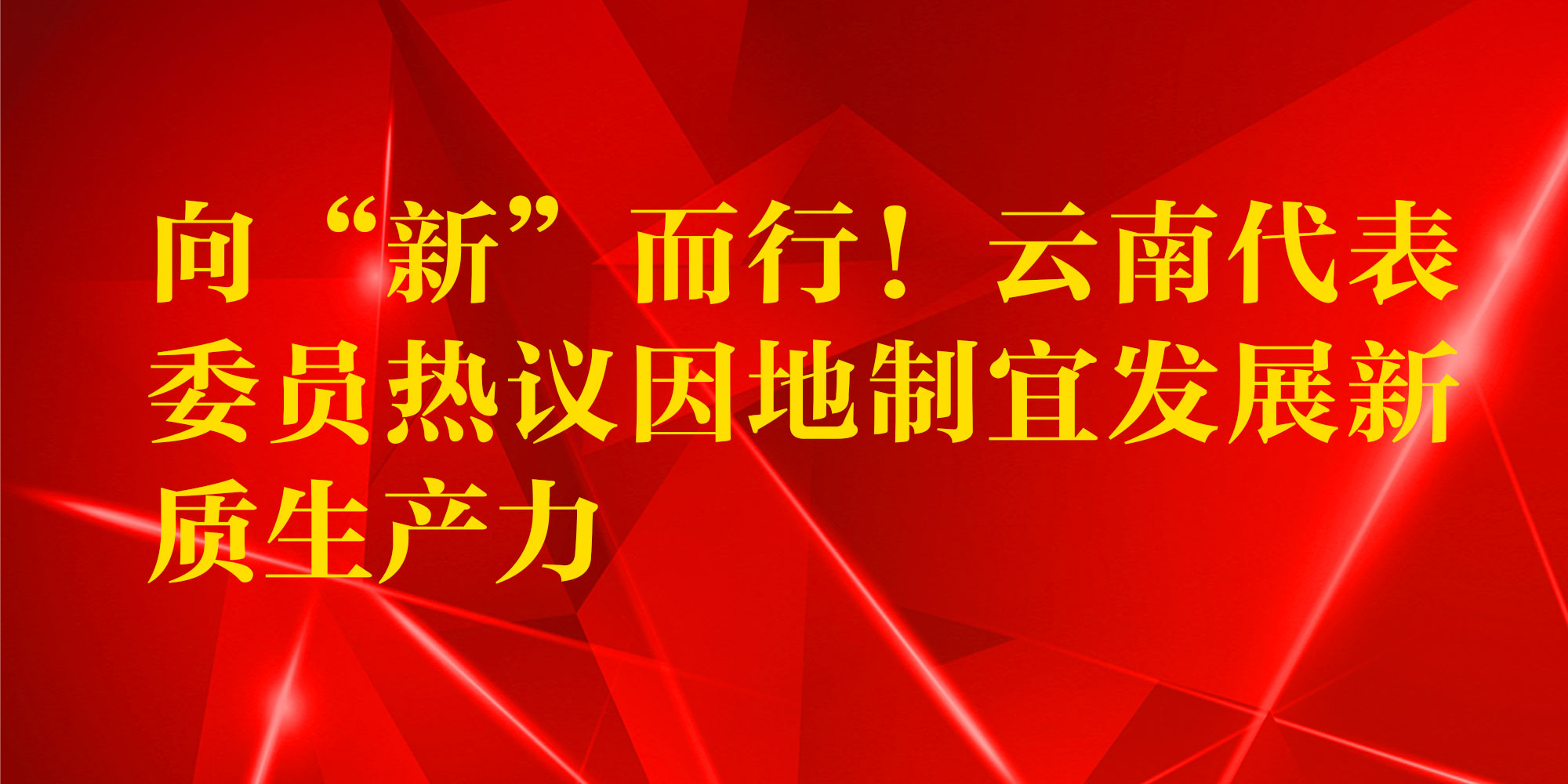 向“新”而行！云南代表委员热议因地制宜发展新质生产力