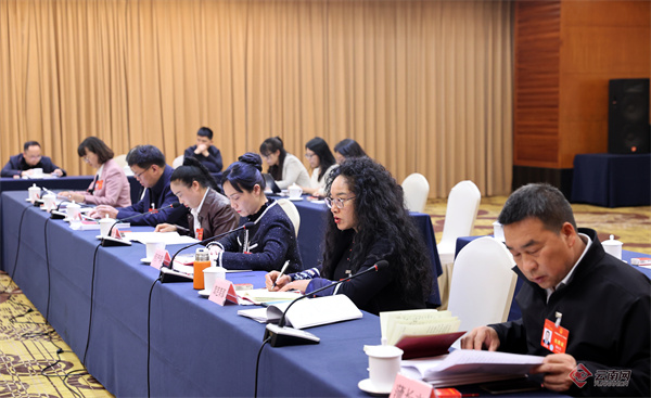 云南省代表团分组审议国务院组织法修订草案