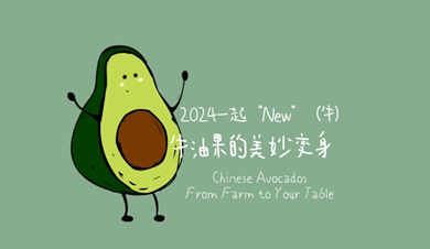 What’s New in 2024 | Colorful Yunnan, “Colorful” avocados