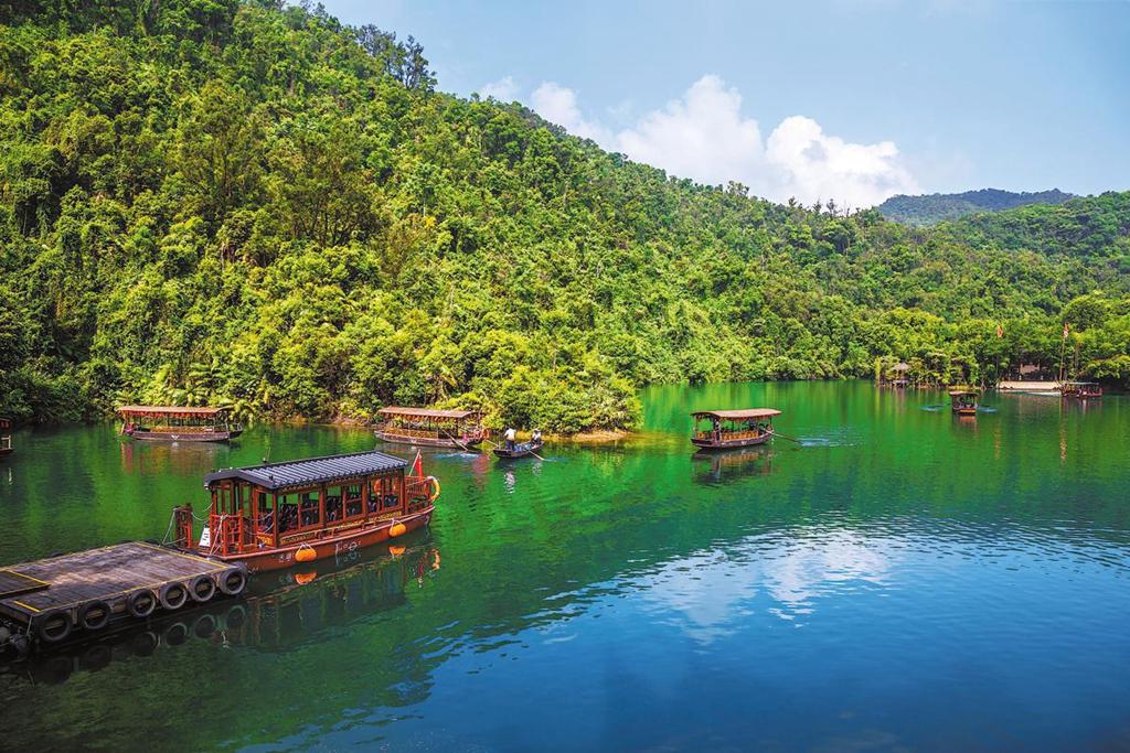 International experts laud Xi's 'Two Mountains Theory' as global model for ecological civilization