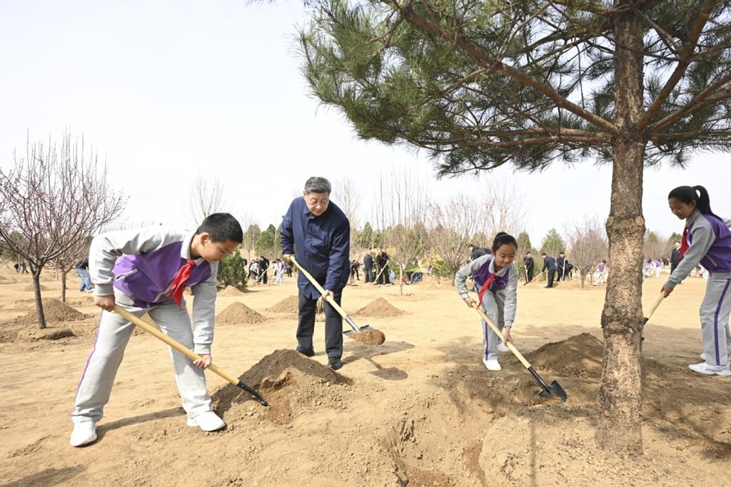 Xi urges whole society to plant trees
