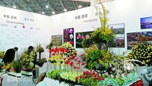 Kunming International Flower Exhibition to kick off soon