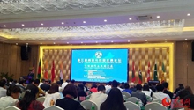 Trans-Himalaya development forum opens in Dehong