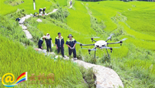 Drones monitor rice terraces in Yuanyang