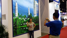 Open-to-public day: Expo visitors show interest in Yunnan scenery