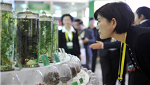 Traditional Chinese Medicine Industry Expo opens in China's Gansu