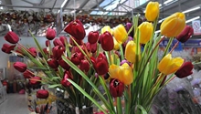 Flower, fruit trade blossoms between Yunnan, Thailand